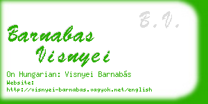 barnabas visnyei business card